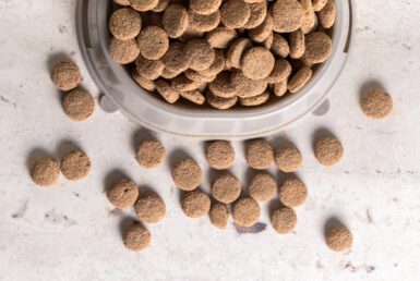 Grand producteur d'alimentation aquatique avec des clients européens