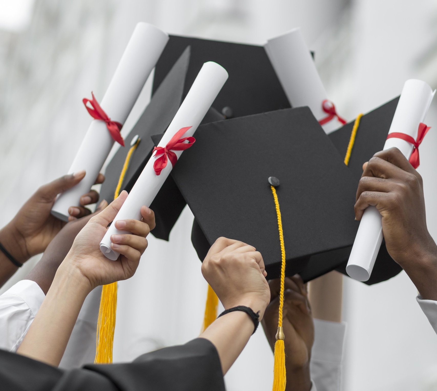 Licenza Università americana in Florida, USA